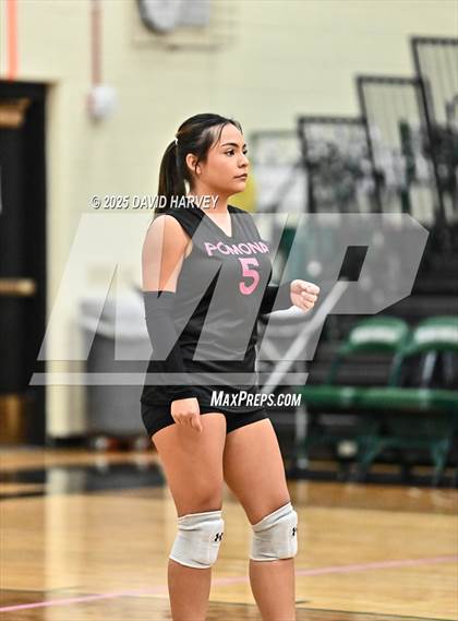 Thumbnail 2 in FR: Pomona @ D'Evelyn photogallery.