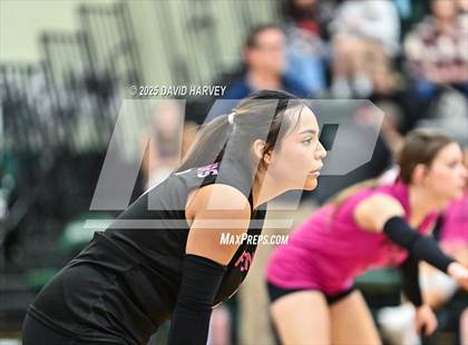 Thumbnail 2 in FR: Pomona @ D'Evelyn photogallery.