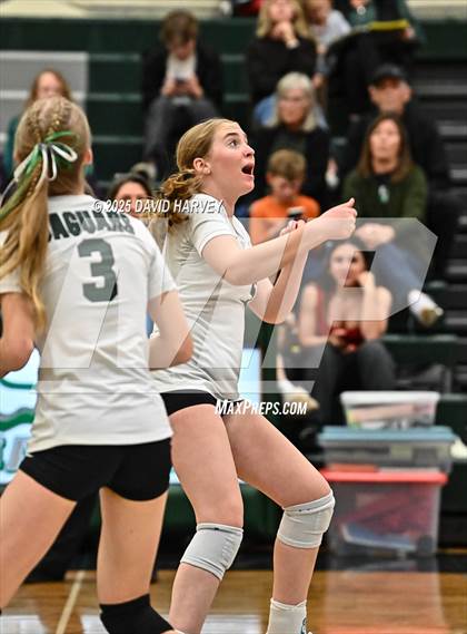 Thumbnail 1 in FR: Pomona @ D'Evelyn photogallery.