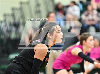 Thumbnail 1 in FR: Pomona @ D'Evelyn photogallery.