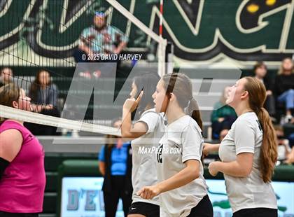 Thumbnail 2 in FR: Pomona @ D'Evelyn photogallery.