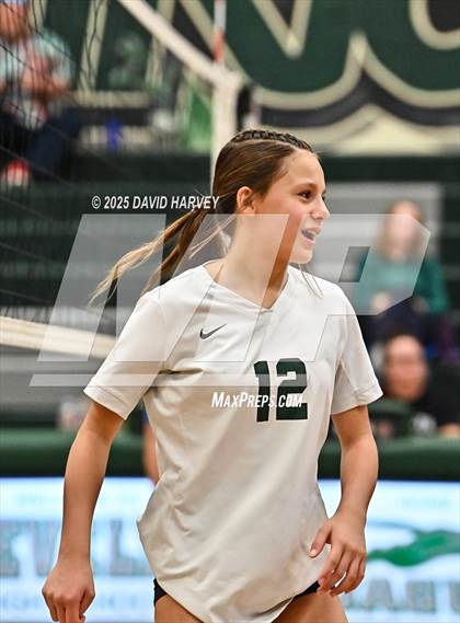 Thumbnail 1 in FR: Pomona @ D'Evelyn photogallery.