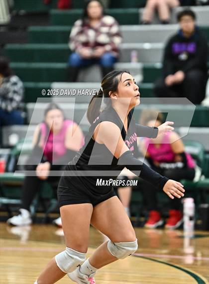 Thumbnail 2 in FR: Pomona @ D'Evelyn photogallery.