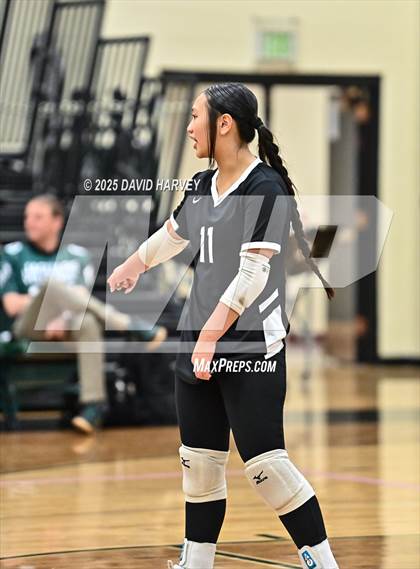 Thumbnail 1 in FR: Pomona @ D'Evelyn photogallery.