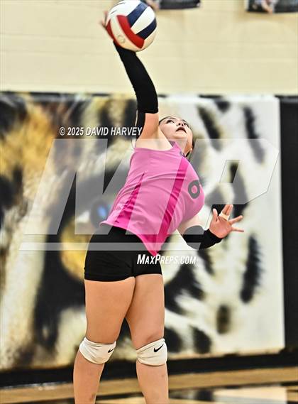 Thumbnail 2 in FR: Pomona @ D'Evelyn photogallery.