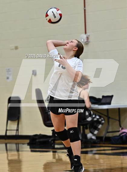 Thumbnail 1 in FR: Pomona @ D'Evelyn photogallery.