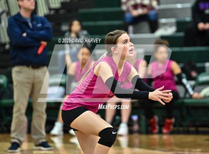 Thumbnail 3 in FR: Pomona @ D'Evelyn photogallery.