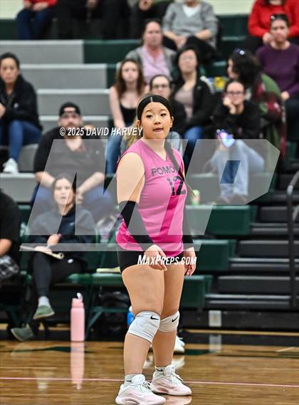 Thumbnail 2 in FR: Pomona @ D'Evelyn photogallery.