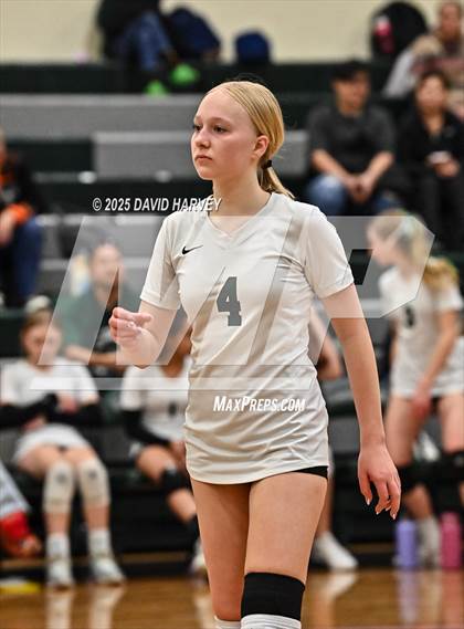 Thumbnail 1 in FR: Pomona @ D'Evelyn photogallery.