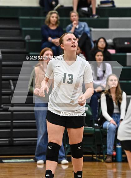 Thumbnail 1 in FR: Pomona @ D'Evelyn photogallery.