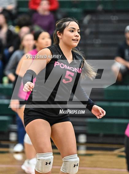 Thumbnail 2 in FR: Pomona @ D'Evelyn photogallery.