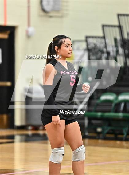 Thumbnail 3 in FR: Pomona @ D'Evelyn photogallery.