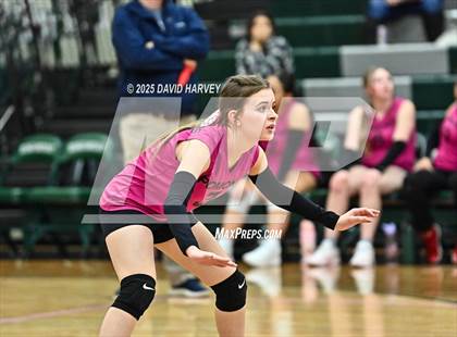 Thumbnail 1 in FR: Pomona @ D'Evelyn photogallery.