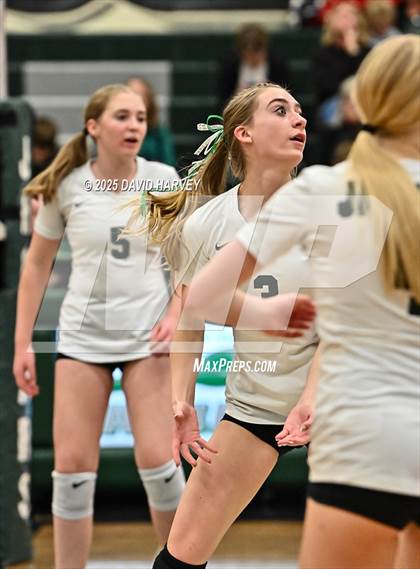 Thumbnail 2 in FR: Pomona @ D'Evelyn photogallery.