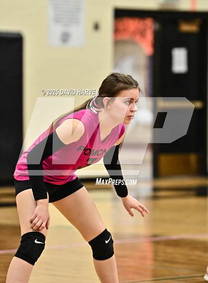 Thumbnail 3 in FR: Pomona @ D'Evelyn photogallery.