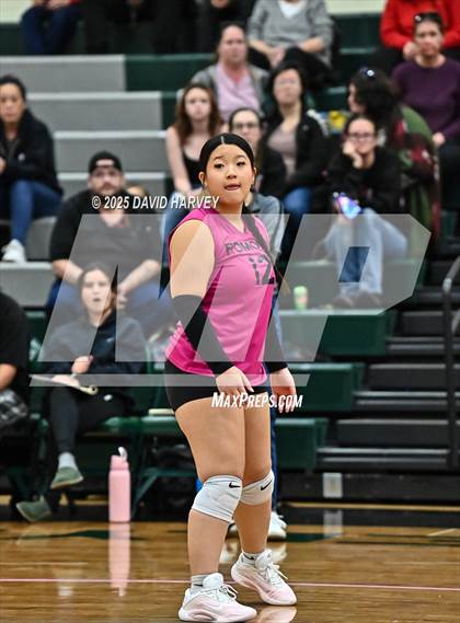 Thumbnail 1 in FR: Pomona @ D'Evelyn photogallery.