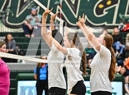 Thumbnail 1 in FR: Pomona @ D'Evelyn photogallery.