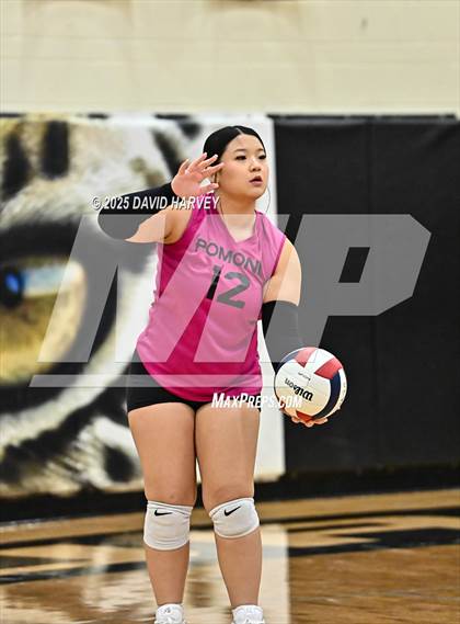 Thumbnail 2 in FR: Pomona @ D'Evelyn photogallery.