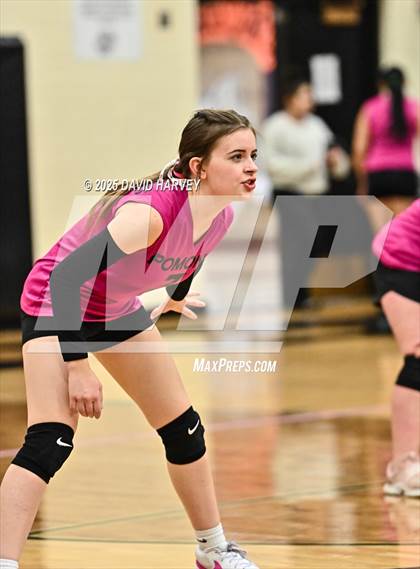 Thumbnail 2 in FR: Pomona @ D'Evelyn photogallery.