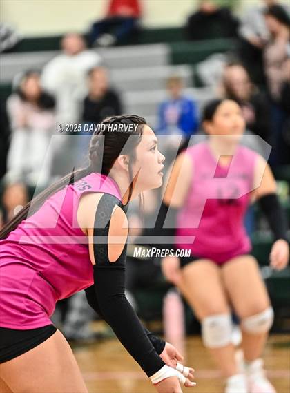 Thumbnail 3 in FR: Pomona @ D'Evelyn photogallery.