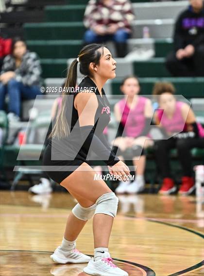 Thumbnail 1 in FR: Pomona @ D'Evelyn photogallery.