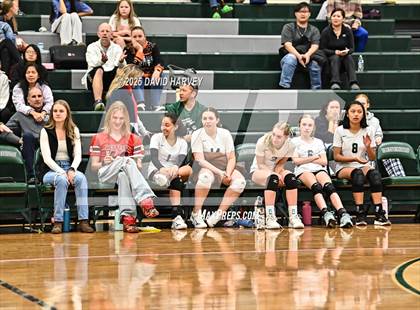 Thumbnail 3 in FR: Pomona @ D'Evelyn photogallery.