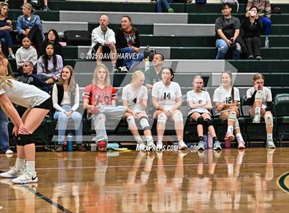 Thumbnail 3 in FR: Pomona @ D'Evelyn photogallery.