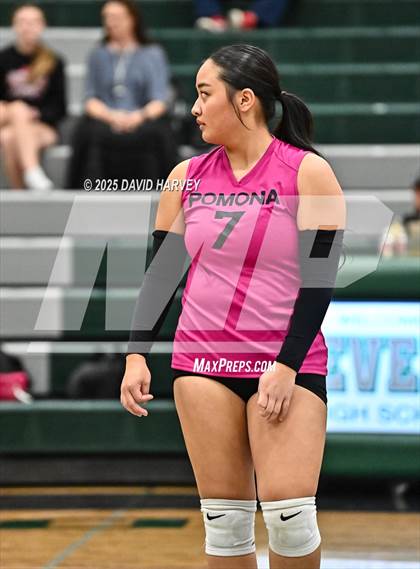 Thumbnail 2 in FR: Pomona @ D'Evelyn photogallery.