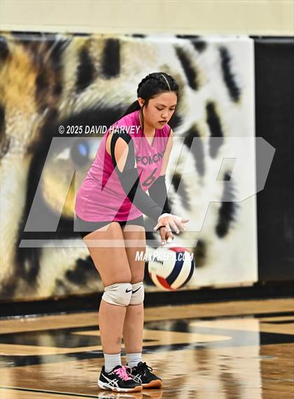 Thumbnail 3 in FR: Pomona @ D'Evelyn photogallery.