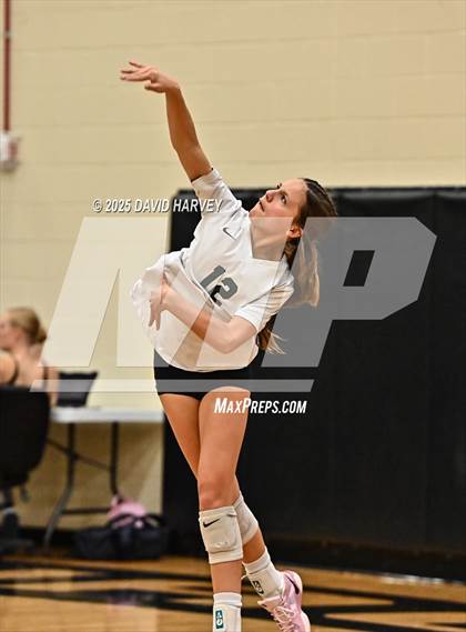 Thumbnail 3 in FR: Pomona @ D'Evelyn photogallery.