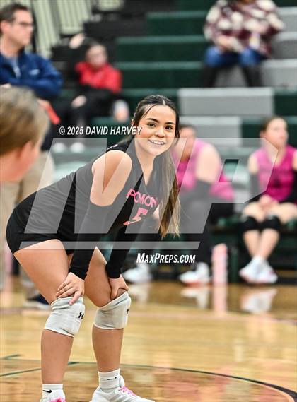 Thumbnail 3 in FR: Pomona @ D'Evelyn photogallery.