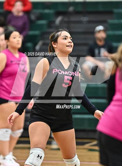 Thumbnail 1 in FR: Pomona @ D'Evelyn photogallery.