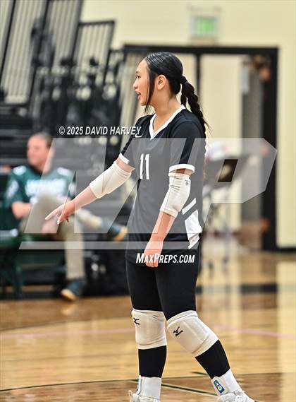 Thumbnail 3 in FR: Pomona @ D'Evelyn photogallery.