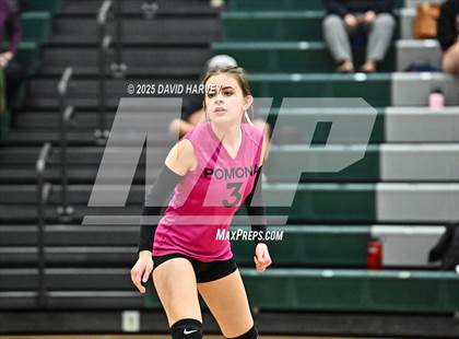 Thumbnail 3 in FR: Pomona @ D'Evelyn photogallery.