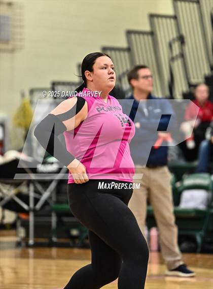 Thumbnail 1 in FR: Pomona @ D'Evelyn photogallery.