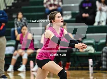 Thumbnail 1 in FR: Pomona @ D'Evelyn photogallery.