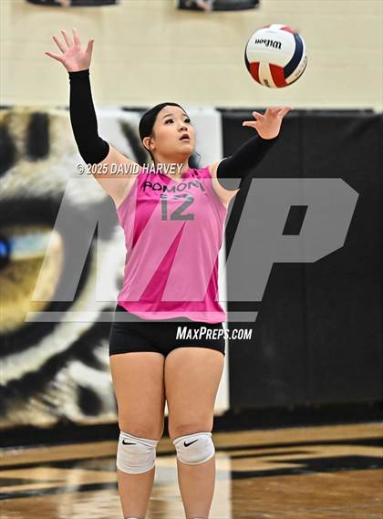 Thumbnail 3 in FR: Pomona @ D'Evelyn photogallery.