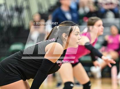 Thumbnail 3 in FR: Pomona @ D'Evelyn photogallery.