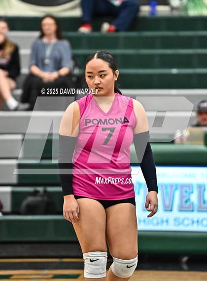 Thumbnail 1 in FR: Pomona @ D'Evelyn photogallery.