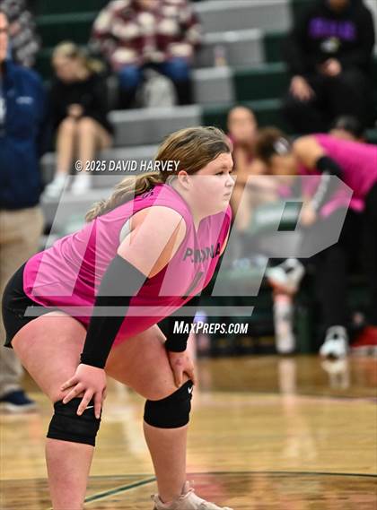 Thumbnail 1 in FR: Pomona @ D'Evelyn photogallery.