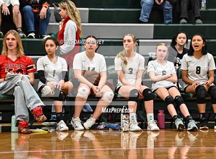 Thumbnail 2 in FR: Pomona @ D'Evelyn photogallery.