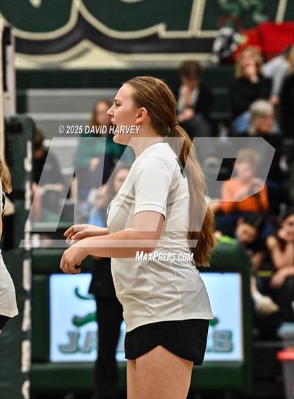 Thumbnail 2 in FR: Pomona @ D'Evelyn photogallery.