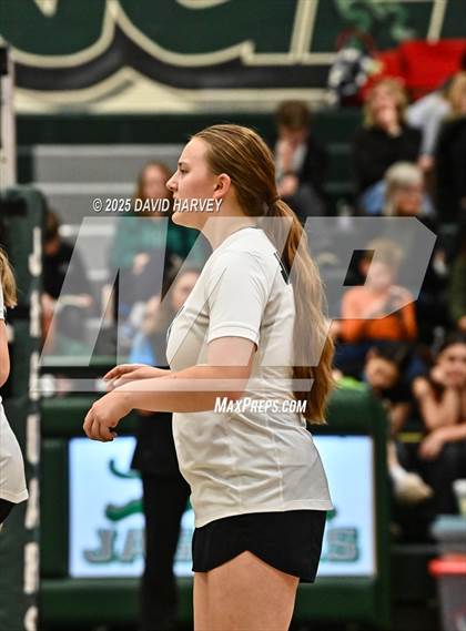 Thumbnail 1 in FR: Pomona @ D'Evelyn photogallery.