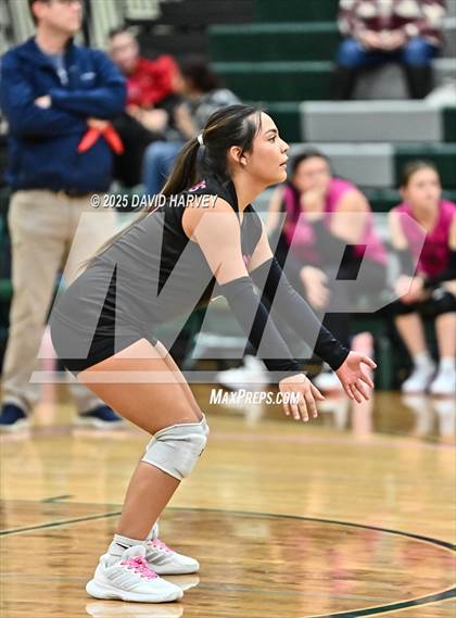 Thumbnail 3 in FR: Pomona @ D'Evelyn photogallery.