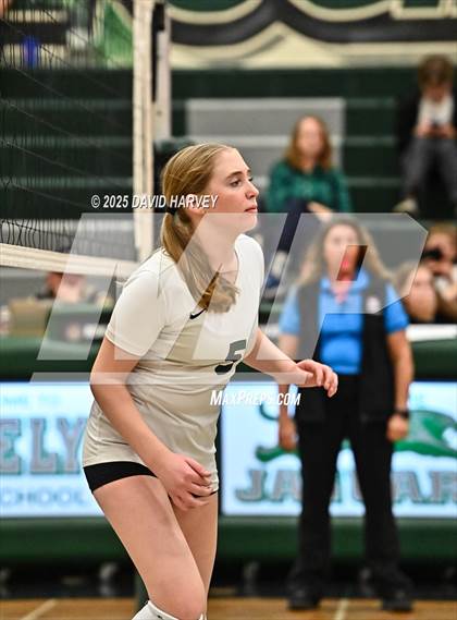 Thumbnail 1 in FR: Pomona @ D'Evelyn photogallery.