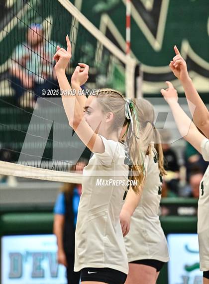 Thumbnail 1 in FR: Pomona @ D'Evelyn photogallery.