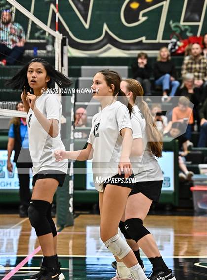 Thumbnail 3 in FR: Pomona @ D'Evelyn photogallery.