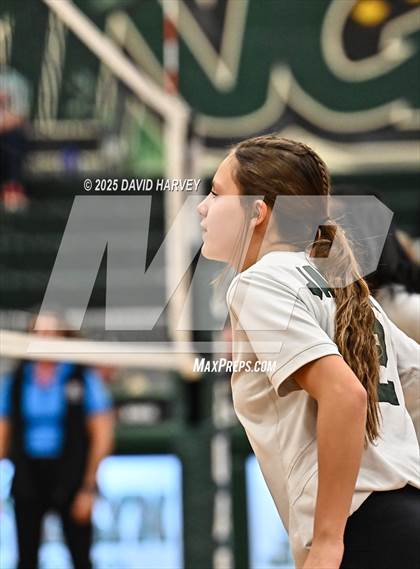 Thumbnail 2 in FR: Pomona @ D'Evelyn photogallery.