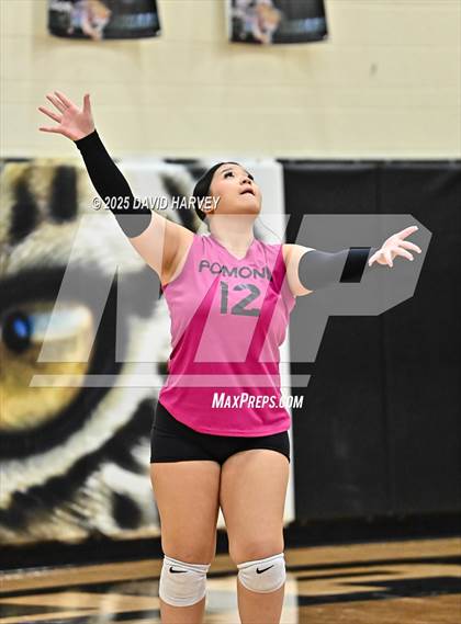 Thumbnail 1 in FR: Pomona @ D'Evelyn photogallery.