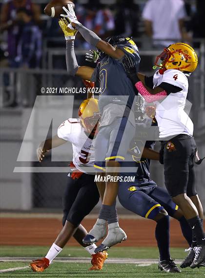 Thumbnail 1 in Dominguez vs. Warren photogallery.